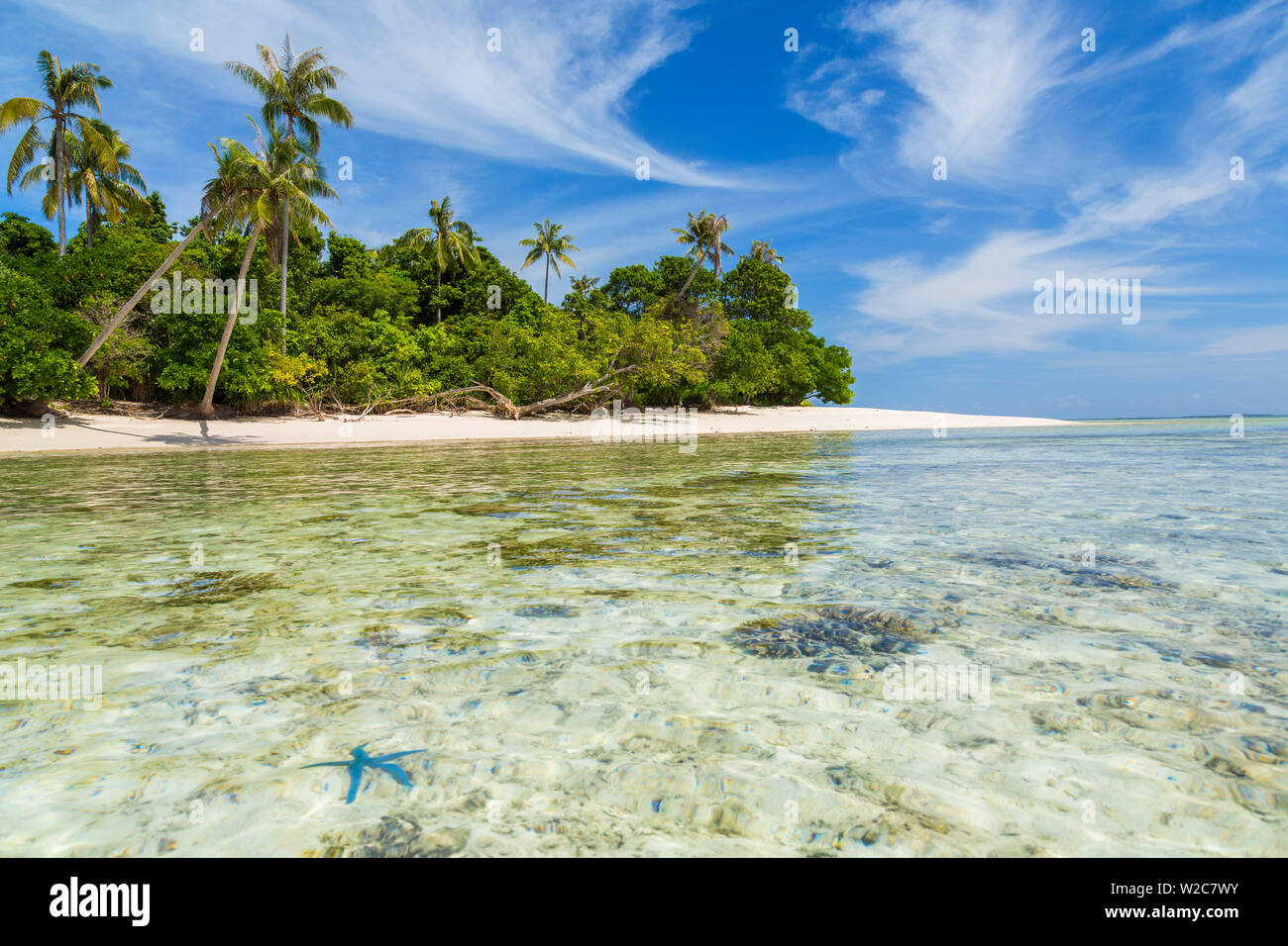 Idyllic tropical beach & starfish, nr Semporna, Sabah, Borneo, Malaysia Stock Photo