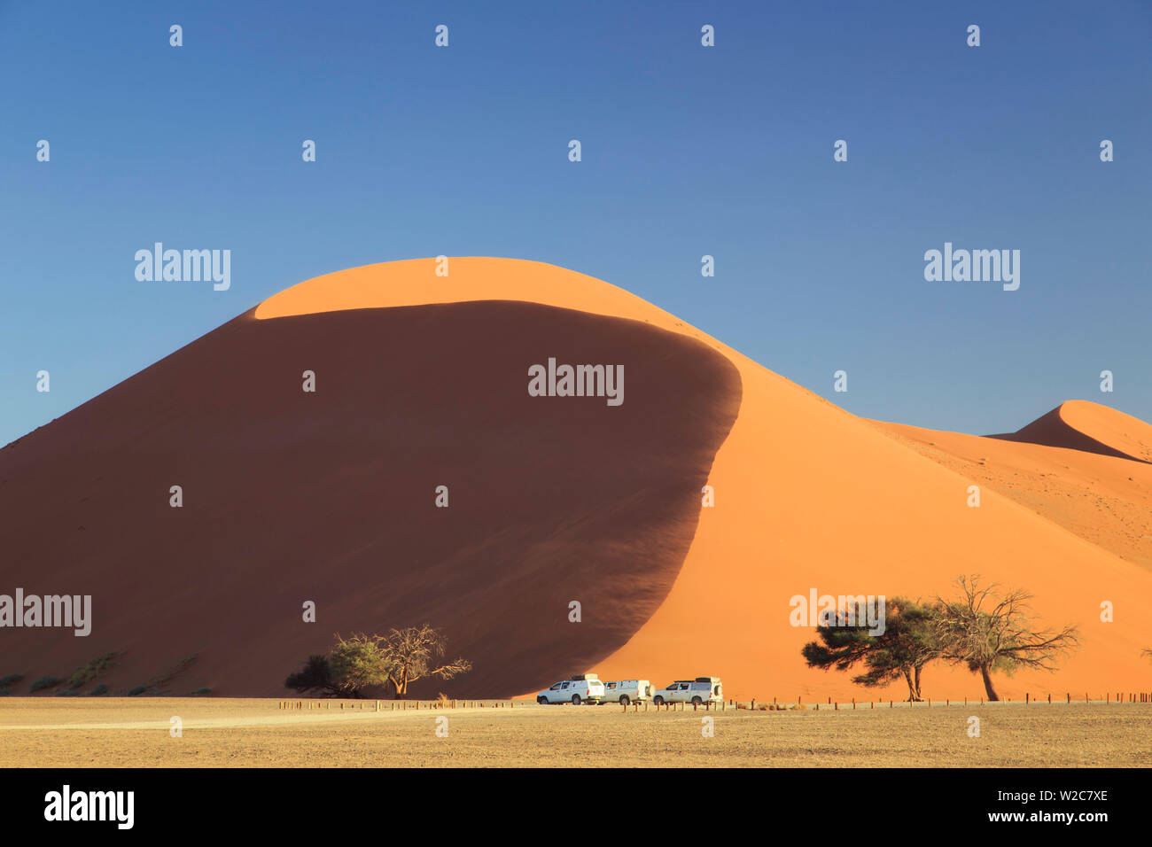 Namibia, Namib Naukluft National Park, Sossussvlei Sand Dunes, Dune 45 Stock Photo