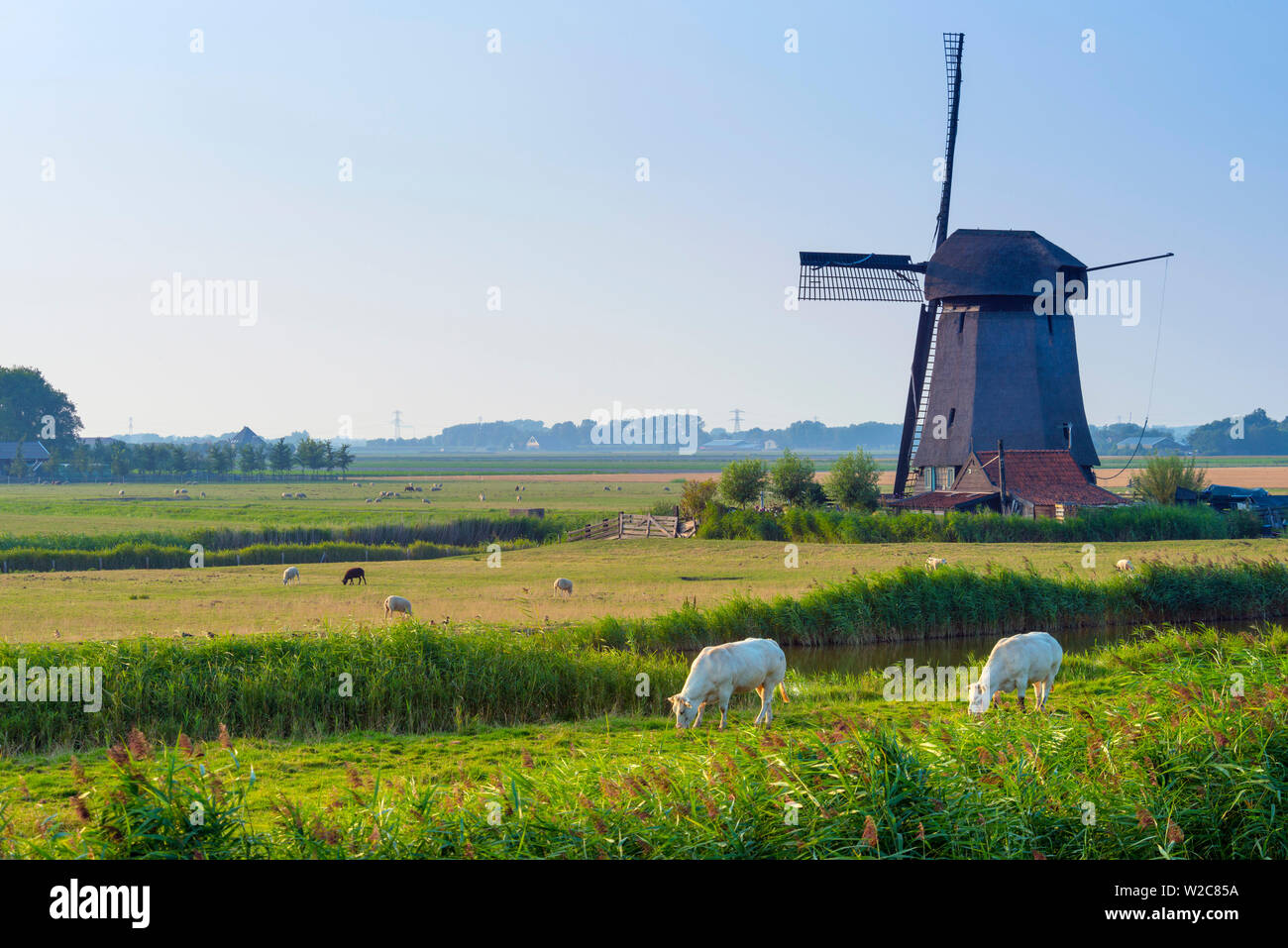 Netherlands, North Holland, Schermer Windmill Complex Stock Photo