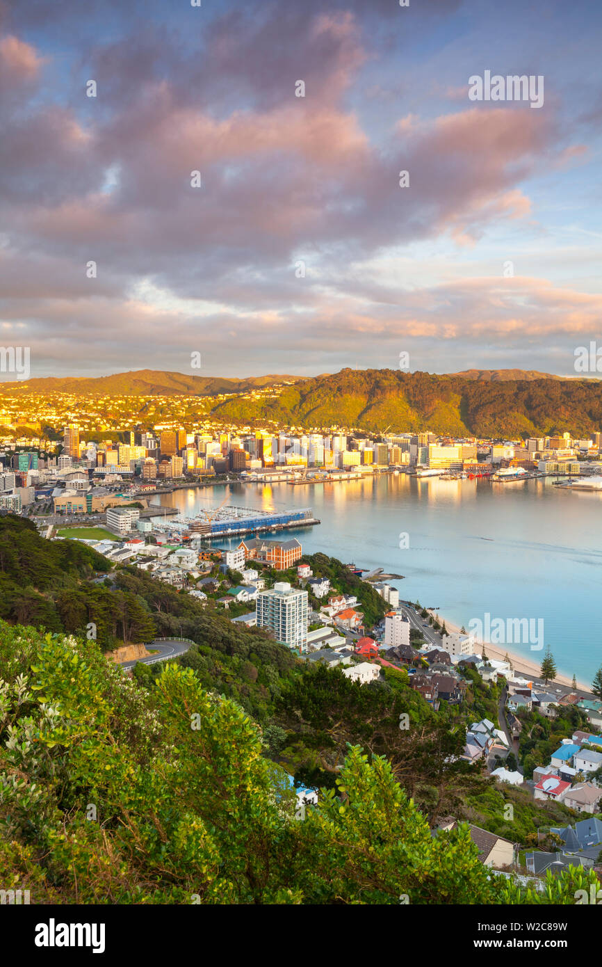 Elevated view over central Wellington illuminated at sunrise, Wellington, North Island, New Zealand Stock Photo