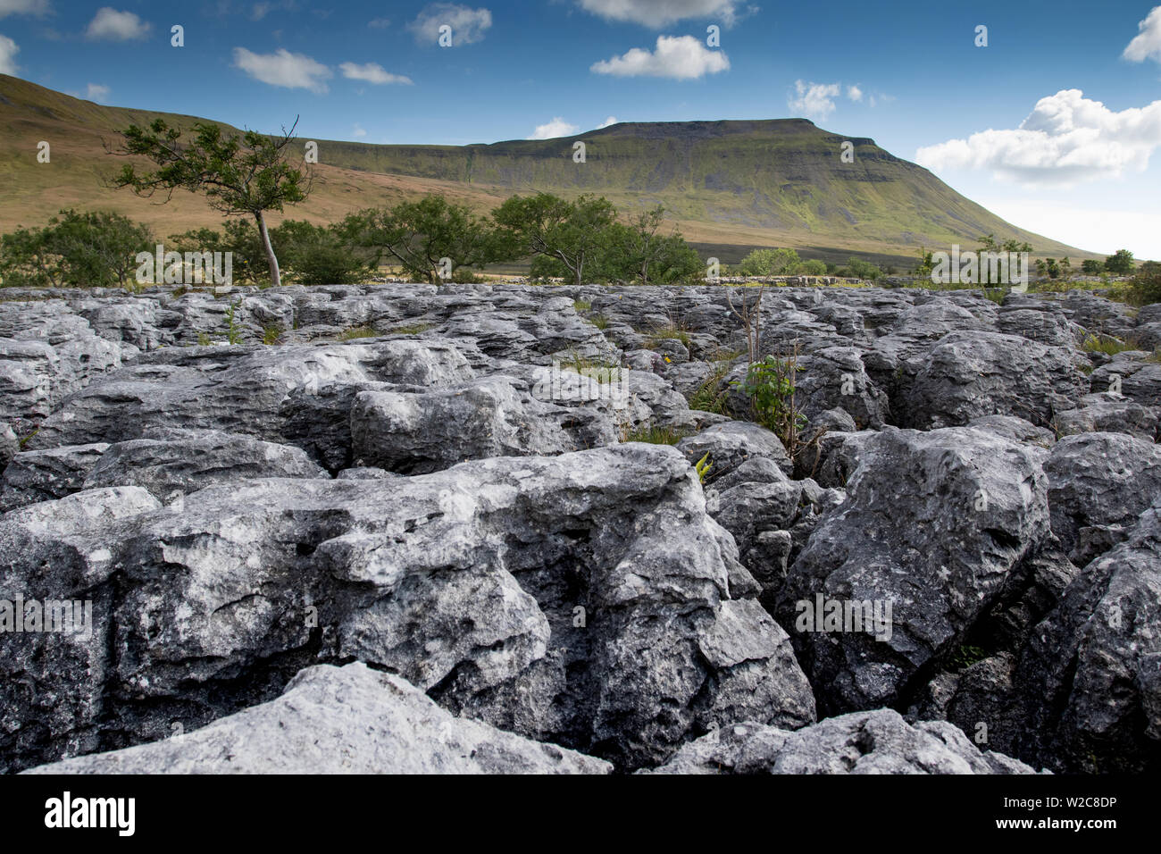 A view of Ingleborough, Yorkshire across the Norber boulder field at the base. Stock Photo