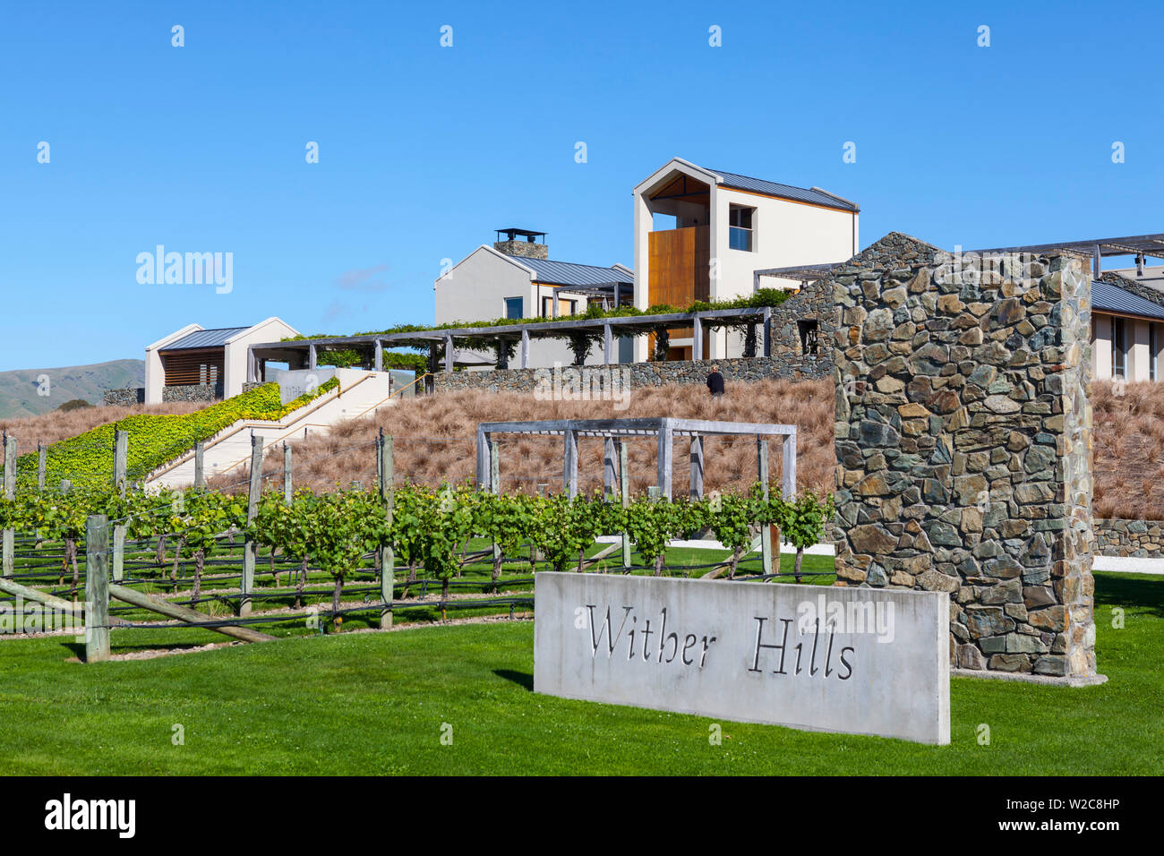 Wither Hills Vineyard, Blenheim, Marlborough, South Island, New Zealand Stock Photo