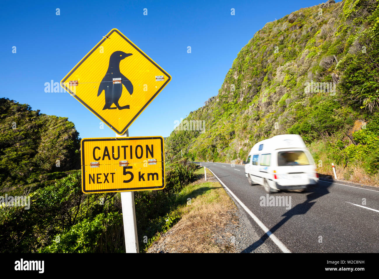 Penguin warning sign & coastal road, Punakaiki, West Coast, South Island, New Zealand Stock Photo