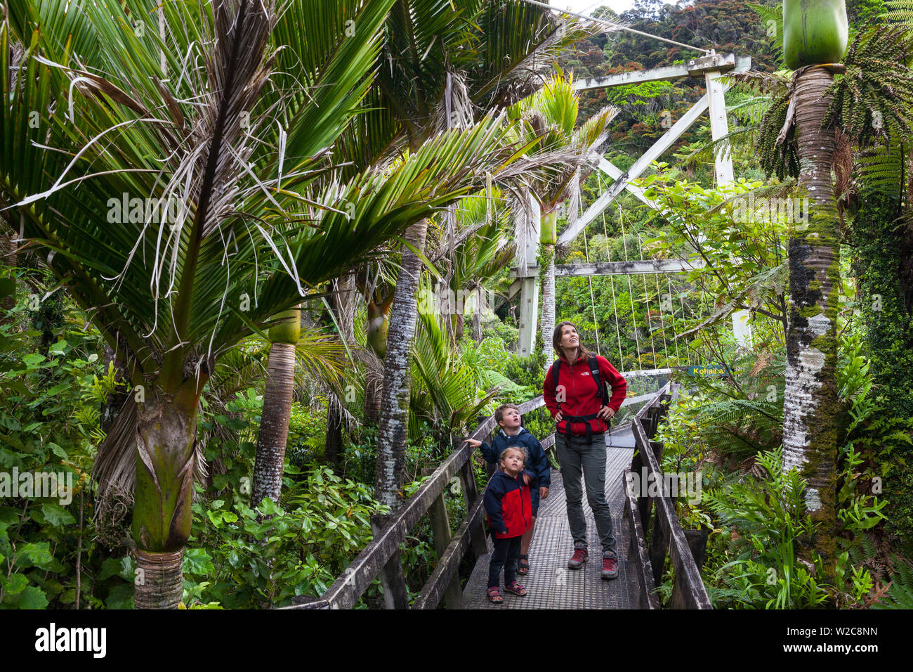 Family walking the Heaphy Track, Karamea, West Coast, South Island, New Zealand Stock Photo