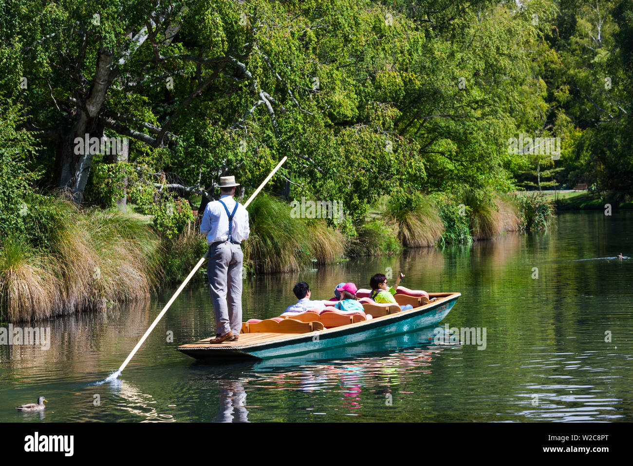 New Zealand, South Island, Christchurch, punting on the Avon River Stock Photo