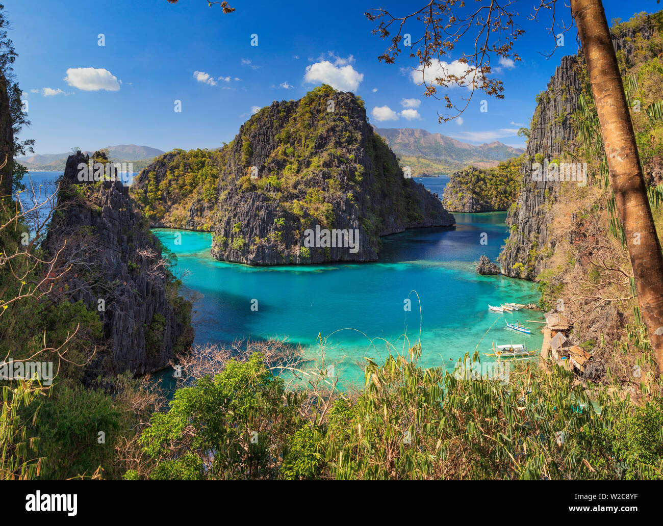 Philippines, Palawan, Coron Island, Kayangan Lake, elevated view from one of the limestone cliffs Stock Photo