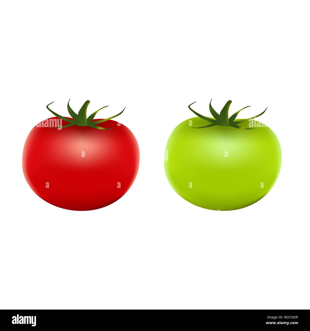 Healthy vegetables with red and green tomato, vitamins and minerals