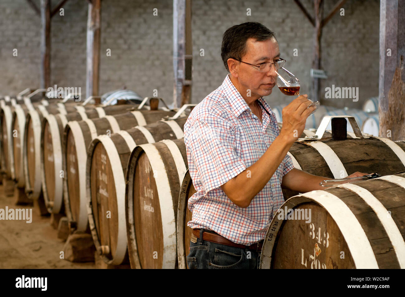 Peru, Bodega Ocucaje, Wine Maker, Smelling Wine, Barrels Of Aging Red Wines, Winery And Vineyards, Ocucaje Desert, Ica, Ica Region Stock Photo