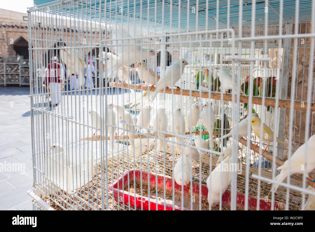 Qatar, Doha, Souq Waqif, redeveloped bazaar area, bird market Stock