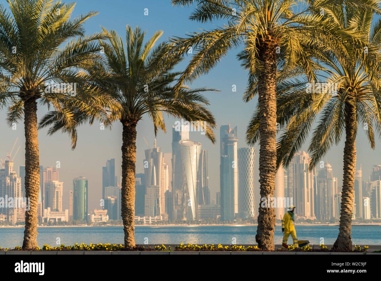 Doha skyline & palm trees, Doha, Qatar Stock Photo Alamy