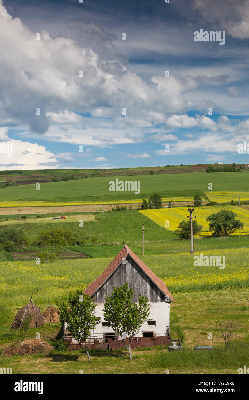 Romania, Transylvania, Tarnaveni, farm and fields, spring Stock Photo