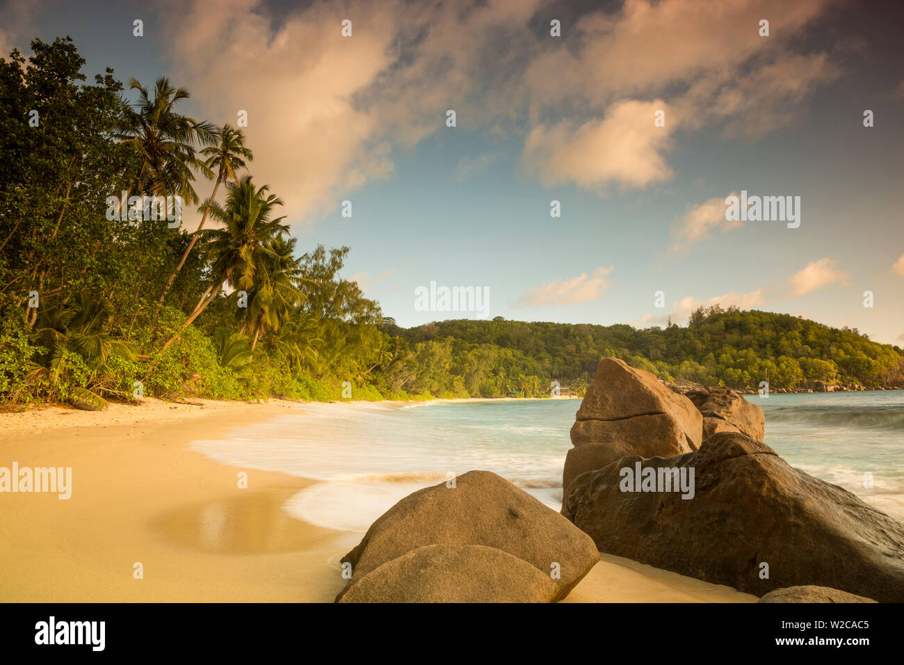 Palm trees and tropical beach, southern Mahe, Seychelles Stock Photo