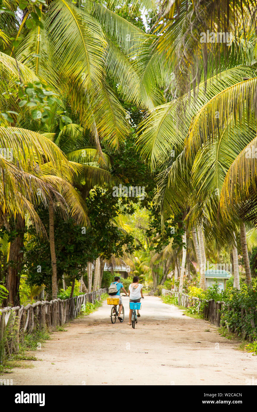 Cylcing down path in L'Union Estate Plantation, La Digue, Seychelles Stock Photo