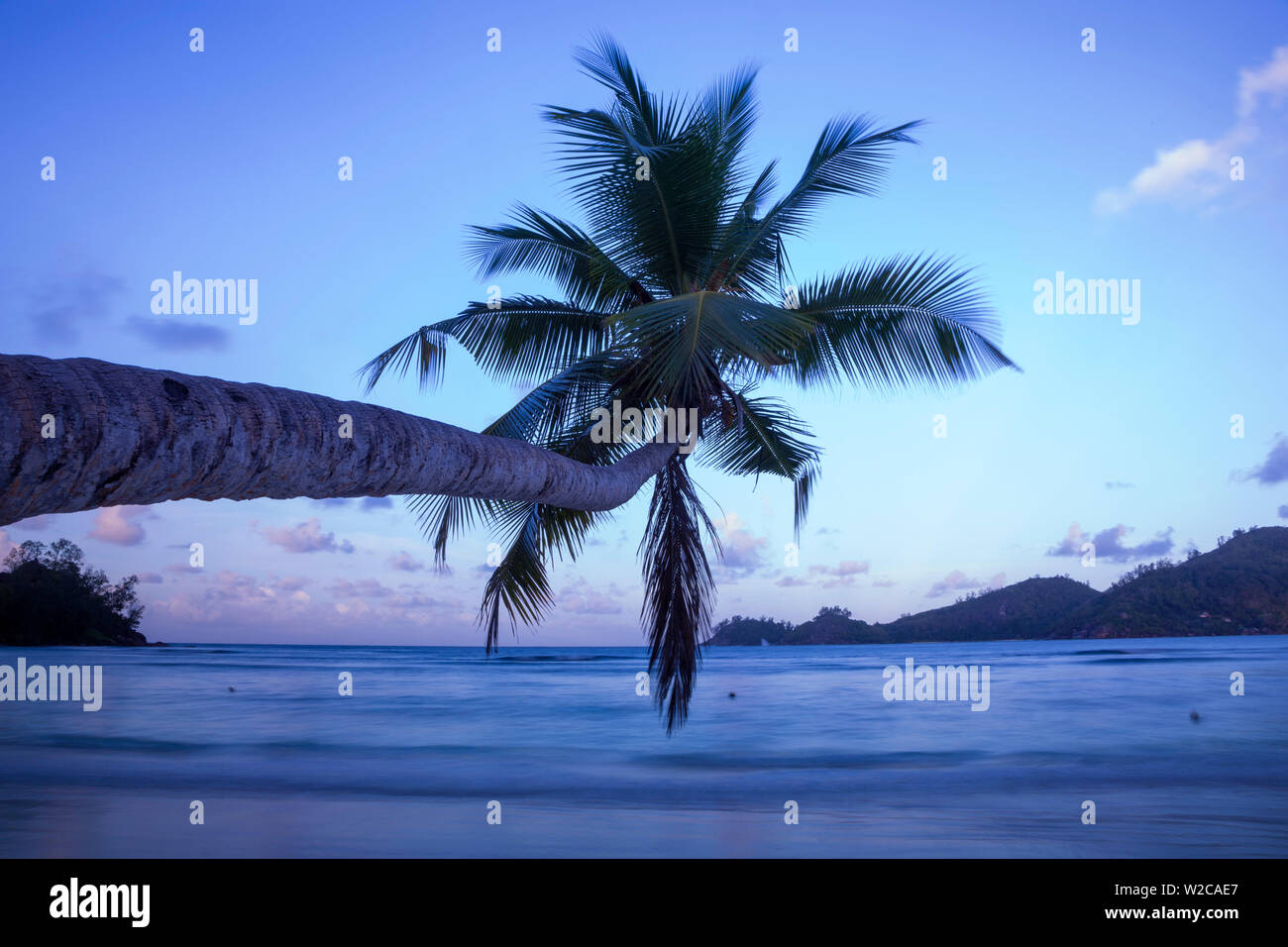 Palm tree and tropical beach, southern Mahe, Seychelles Stock Photo