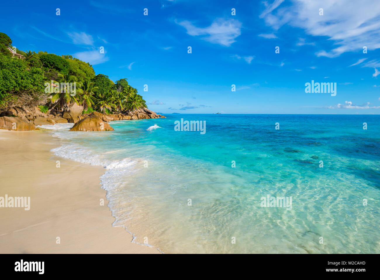 Palm trees and tropical beach, La Digue, Seychelles Stock Photo
