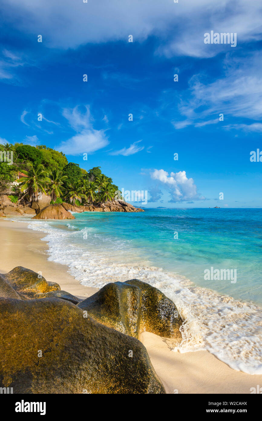 Palm trees and tropical beach, La Digue, Seychelles Stock Photo