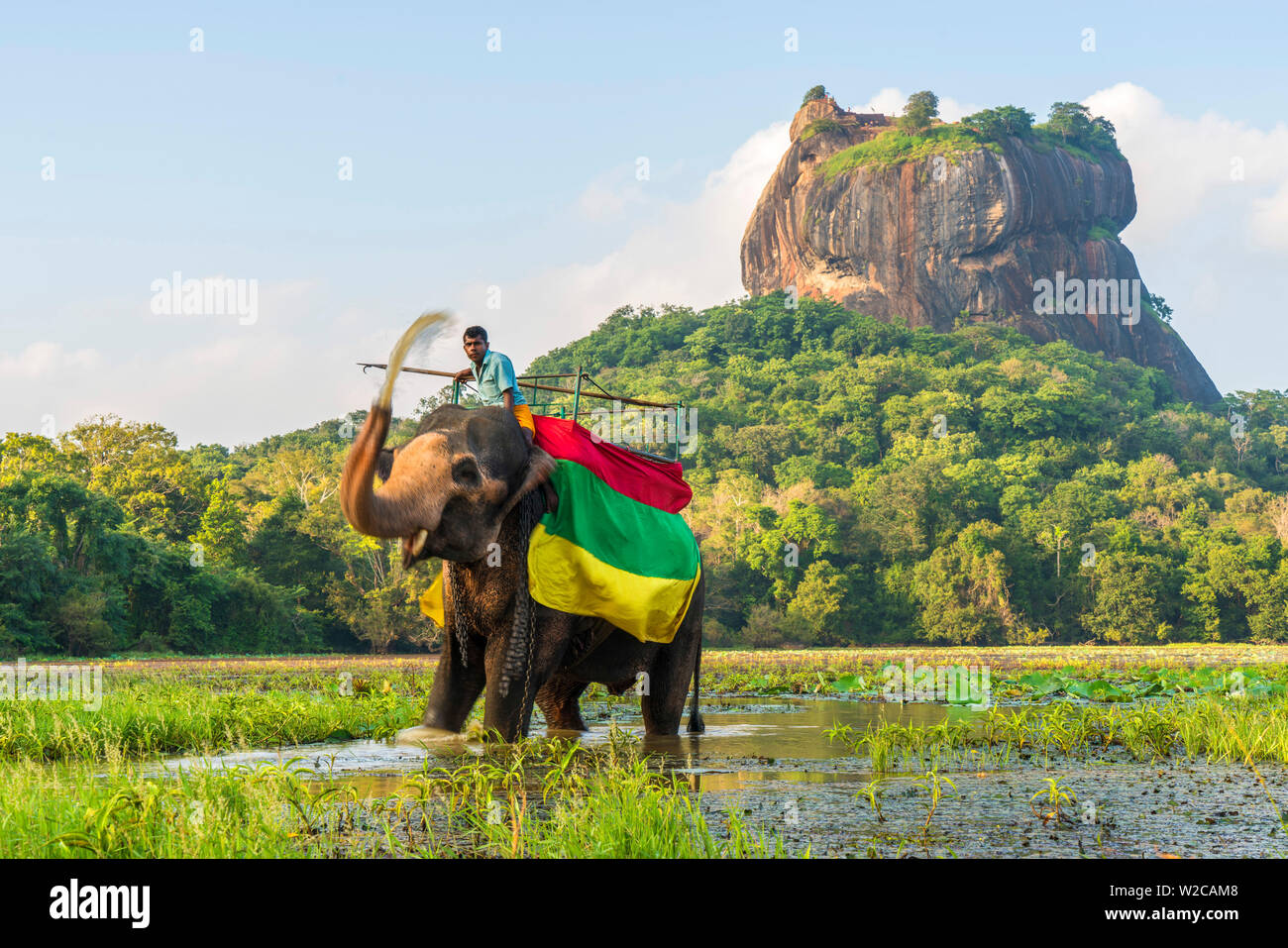 Elephant ride with Lion Rock, Ancient Rock Fortress behind, Sigiriya