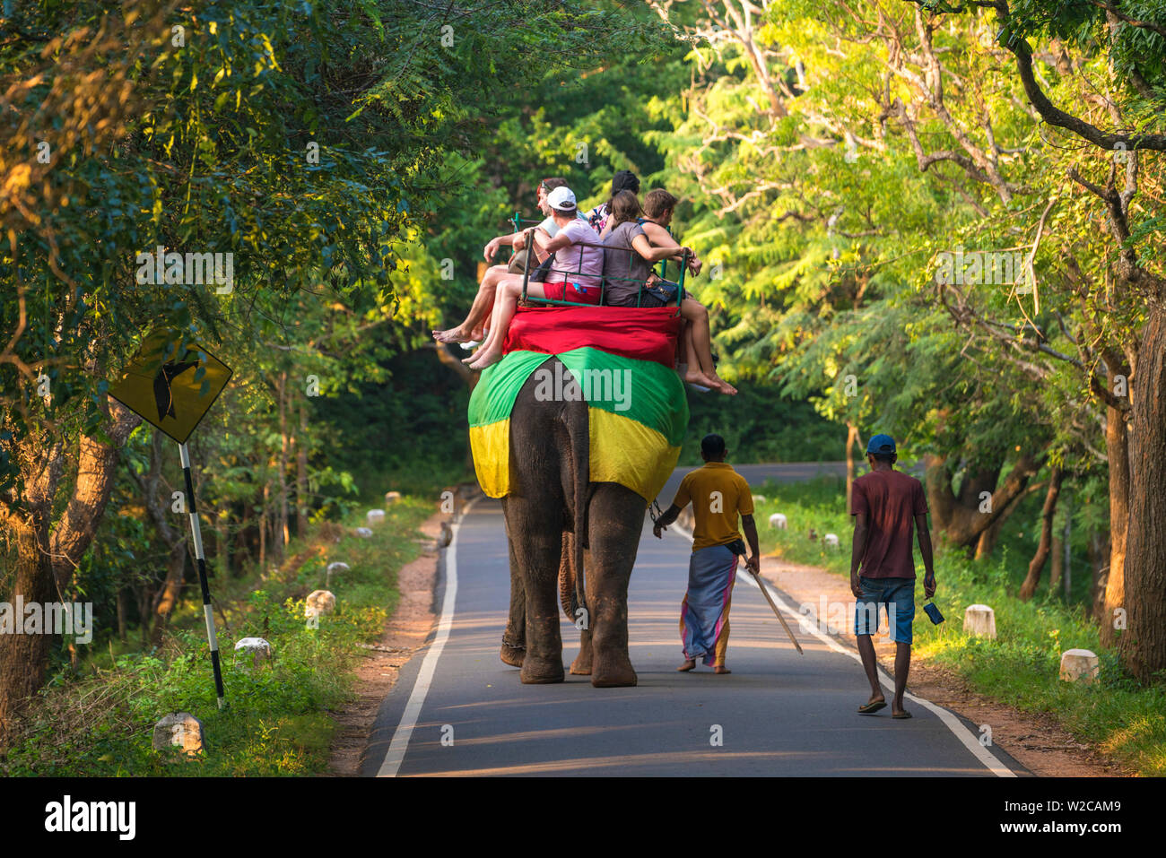 Elephant ride, Sigiriya, Sri Lanka Stock Photo Alamy