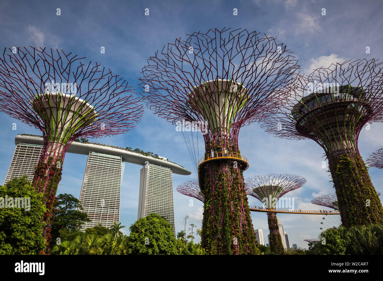 Singapore Gardens By The Bay Super Tree Grove And Marina Bay Sands Hotel Daytime Stock Photo Alamy