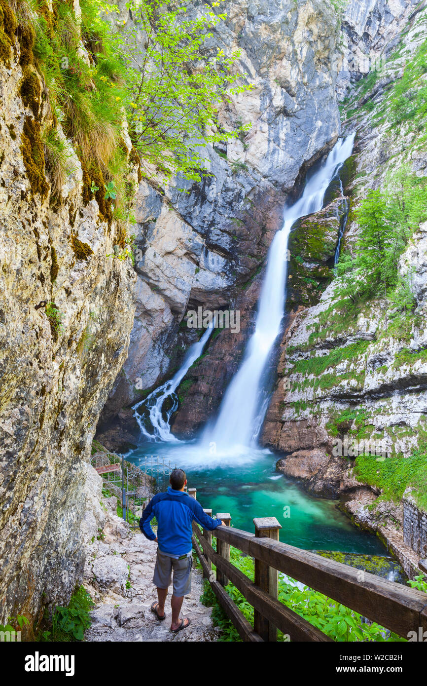 lavica Fall (Slap Slavica),  Triglav National Park, Upper Carniola, Slovenia Stock Photo