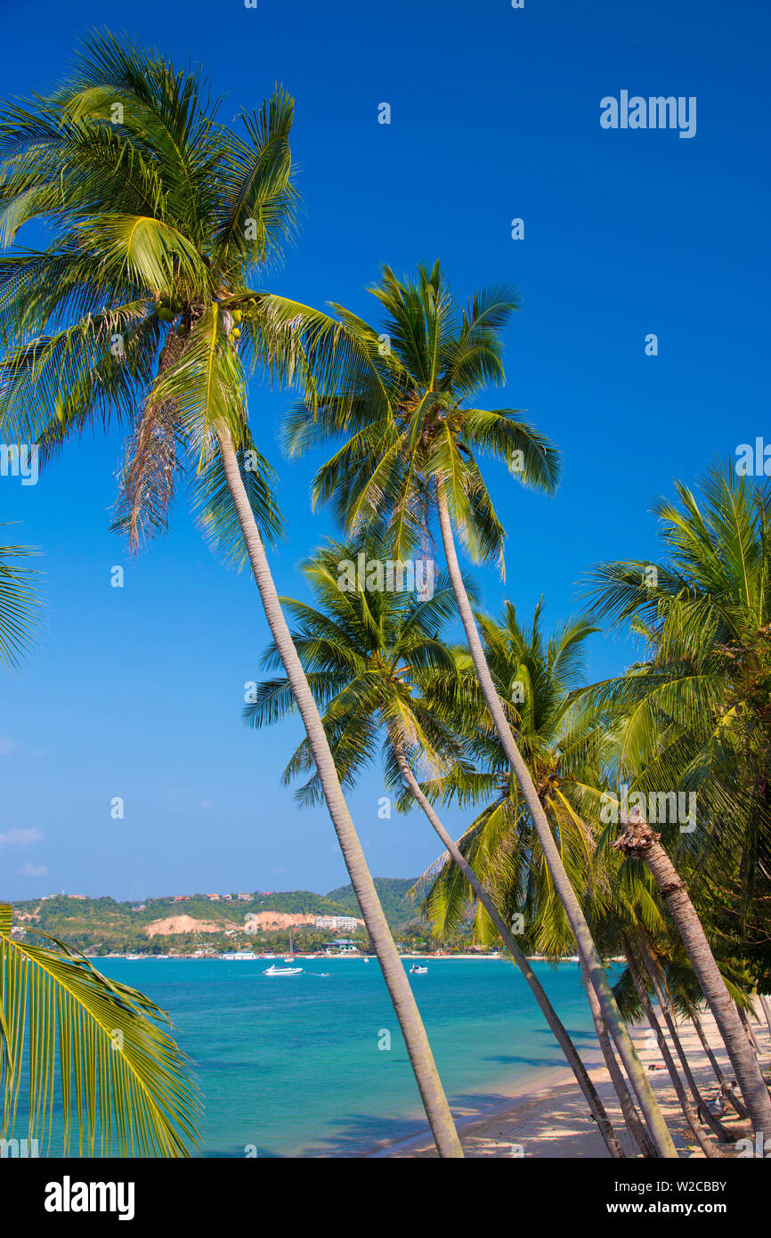 Bo Phut beach, Koh Samui, Thailand Stock Photo