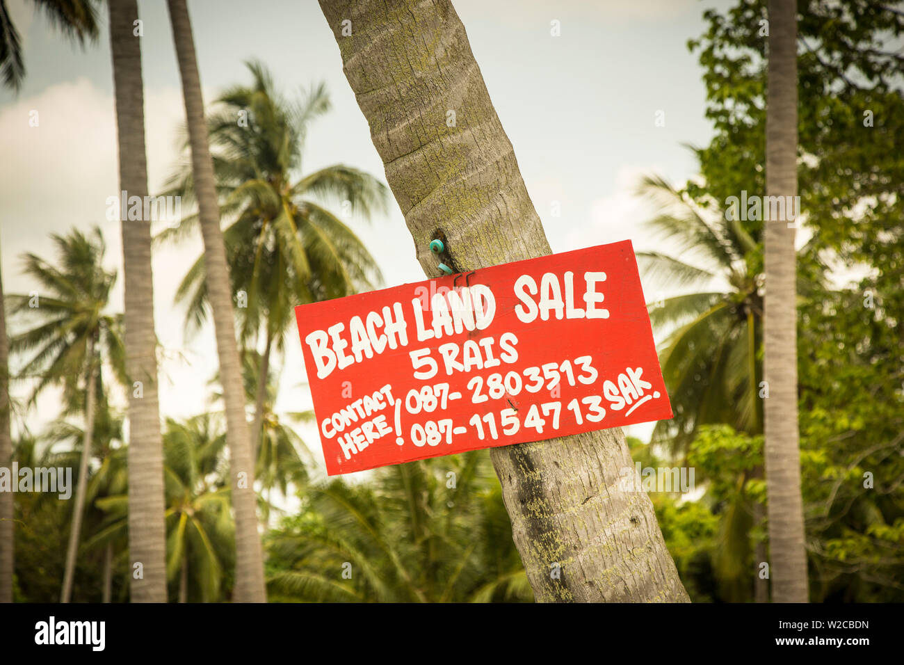 Land For Sale sign, Koh Samui, Thailand Stock Photo