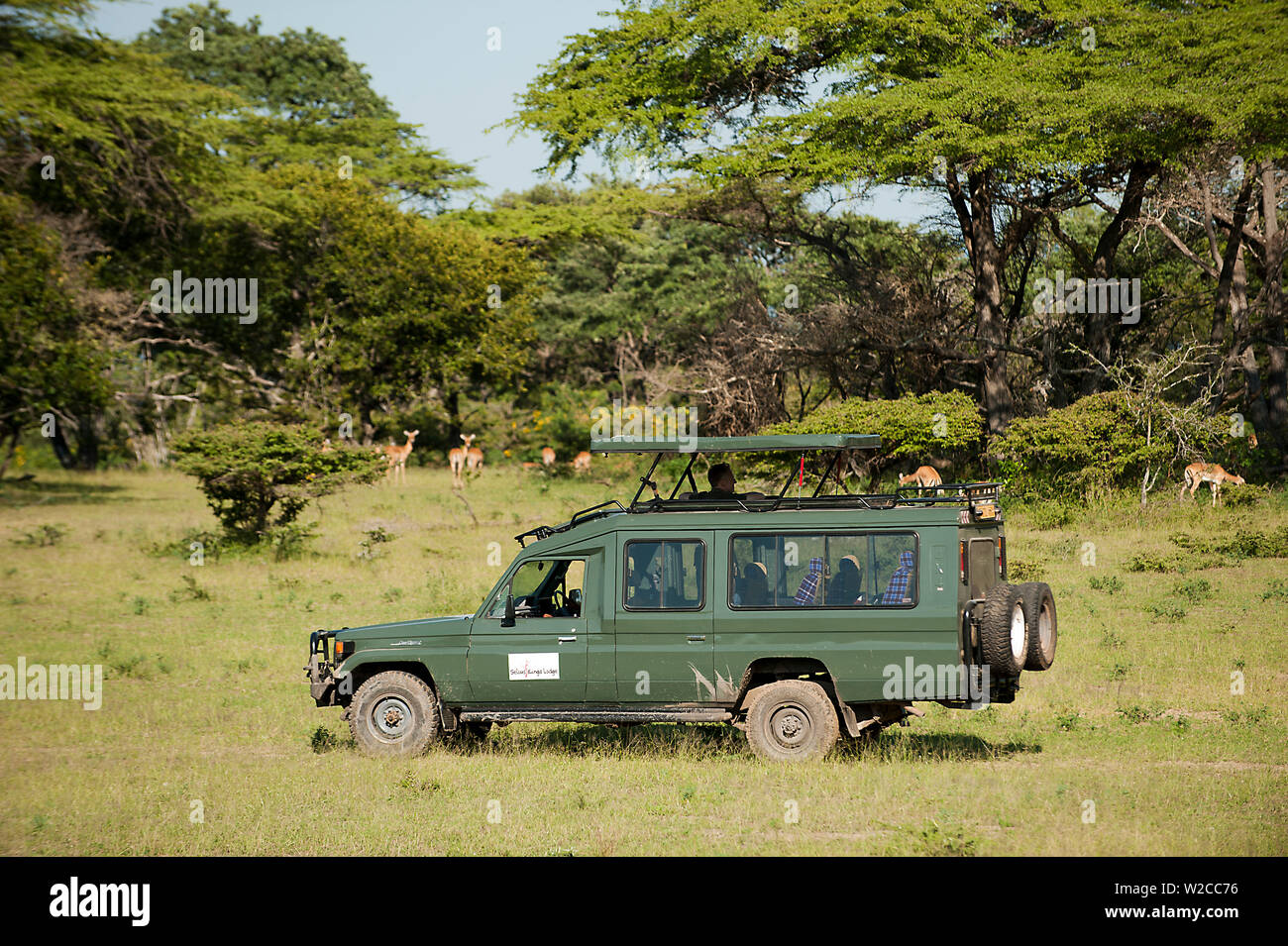 Safari vehicle with tourist and wildlife in Selous Game Reserve, Tanzania Stock Photo