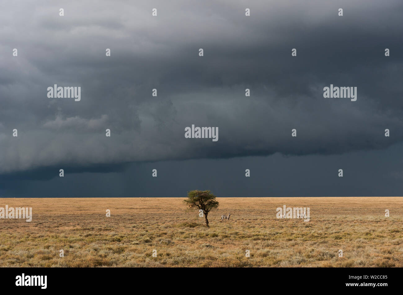 Stormy african sky hi-res stock photography and images - Alamy