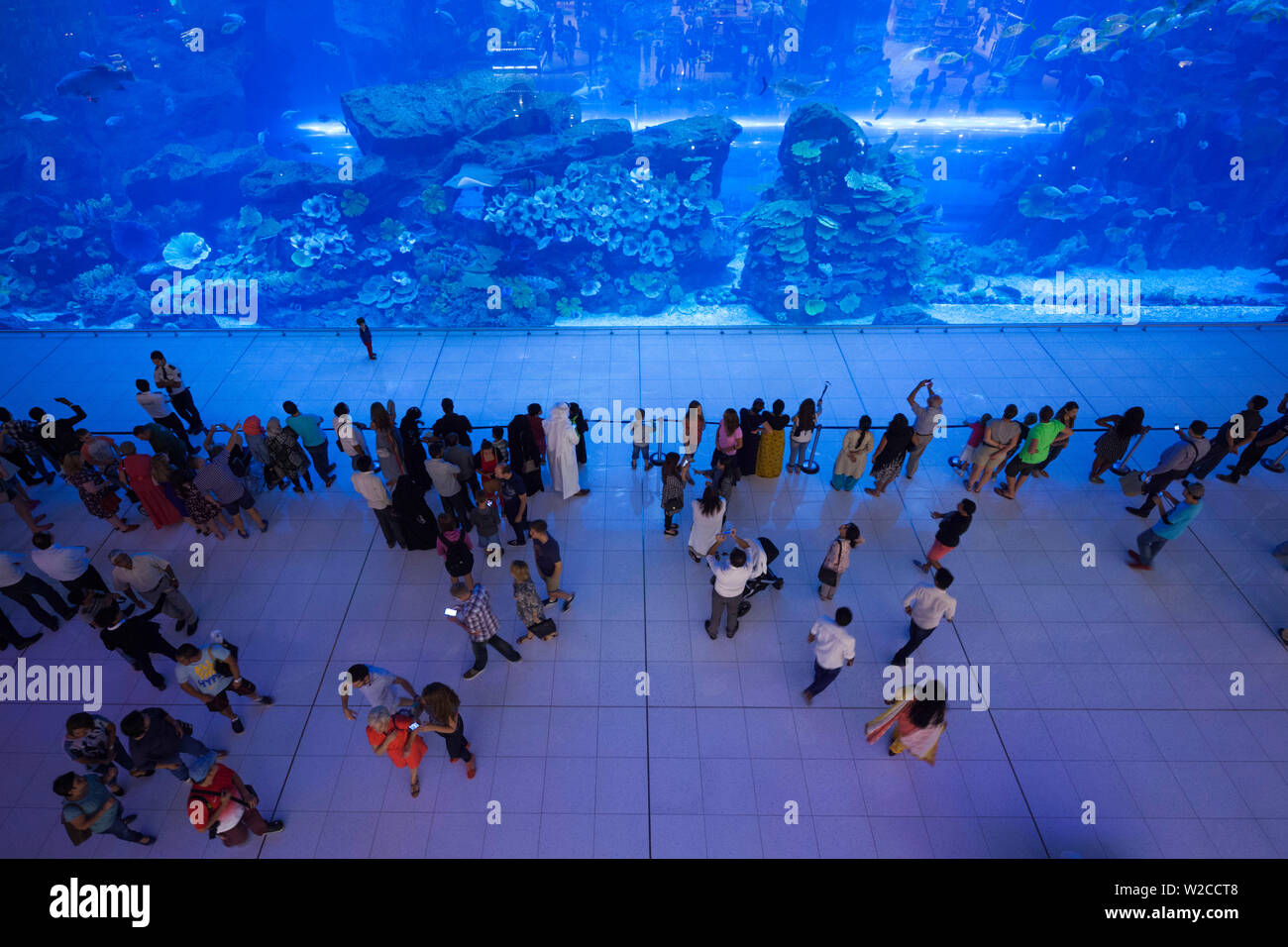 UAE, Dubai, Downtown Dubai, Dubai Mall, interior, aquarium Stock Photo