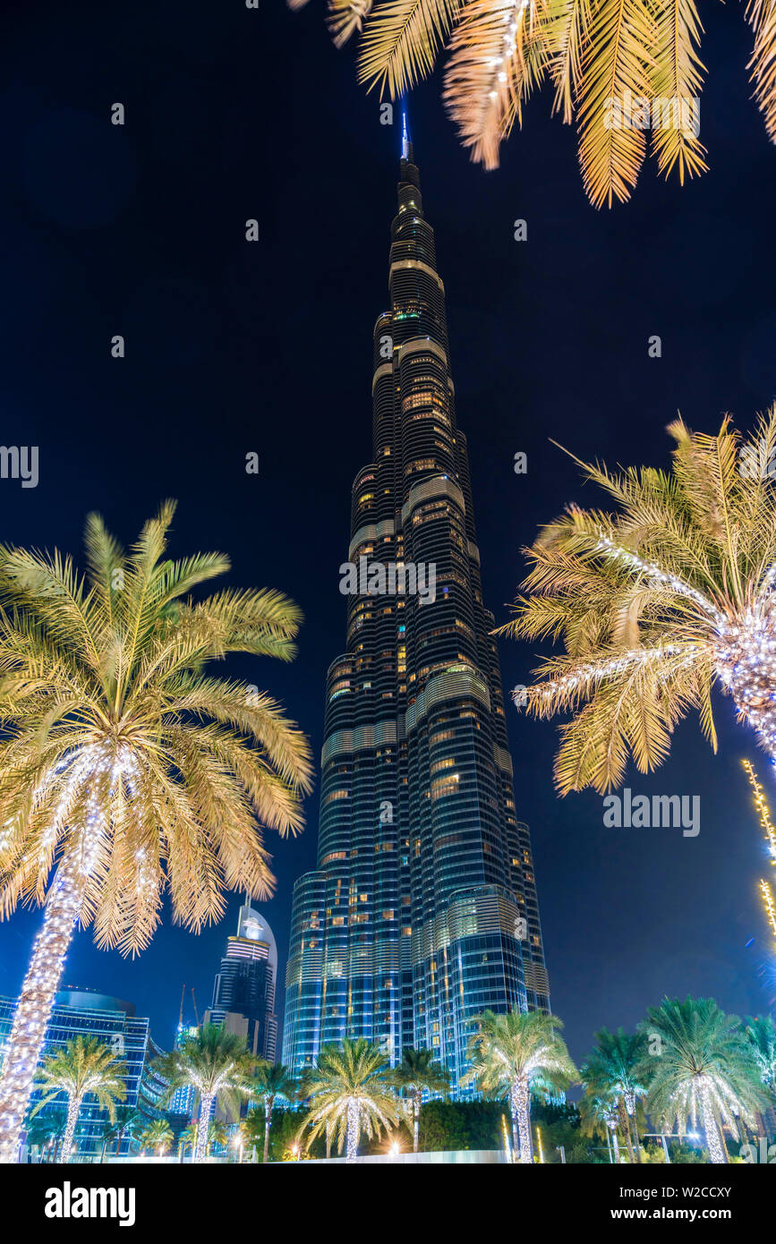 Burj Khalifa & palm trees at night, Dubai, United Arab Emirates, U.A.E
