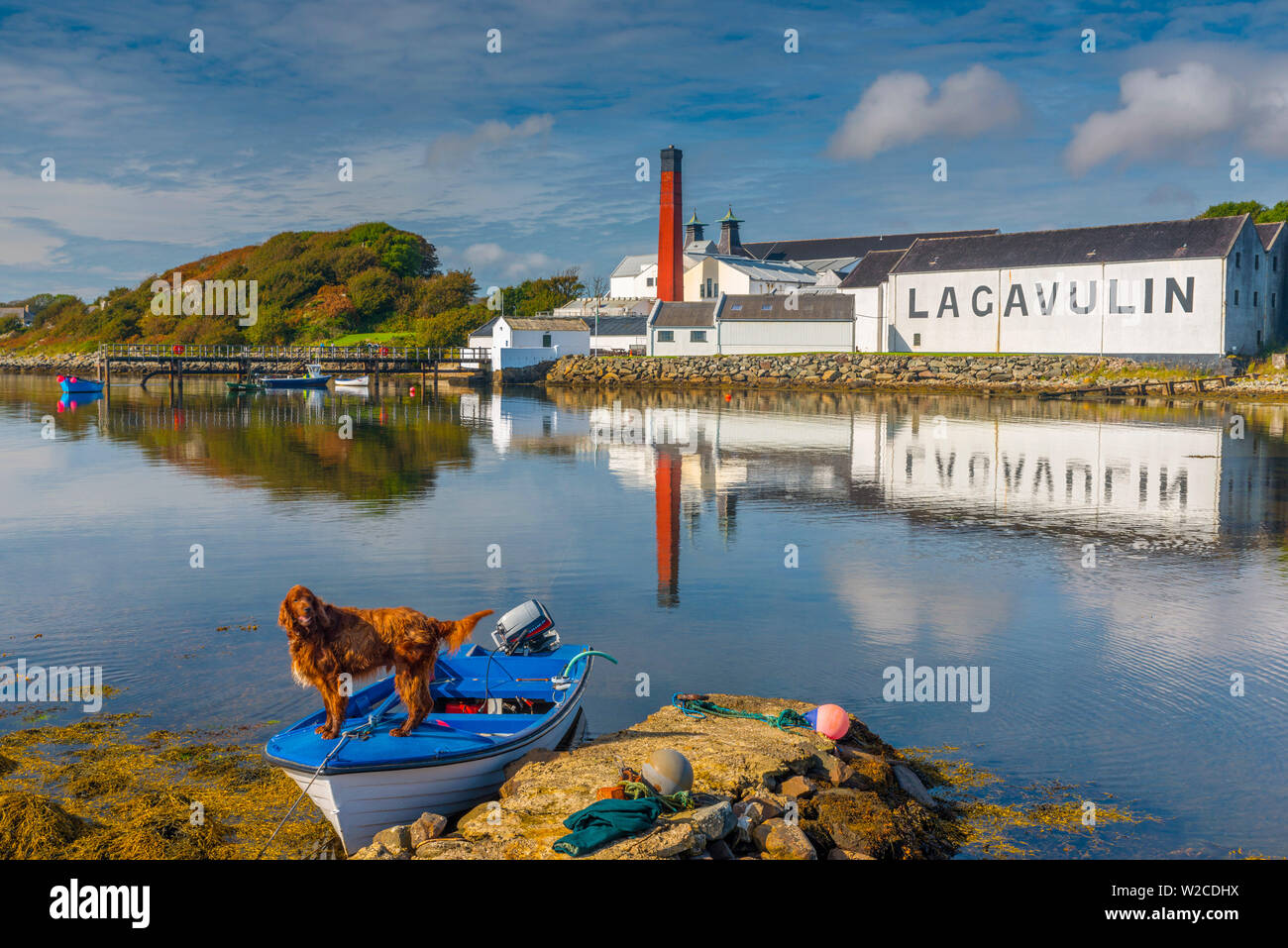 UK, Scotland, Argyll and Bute, Islay, Lagavulin Bay, Lagavulin Whisky Distillery Stock Photo