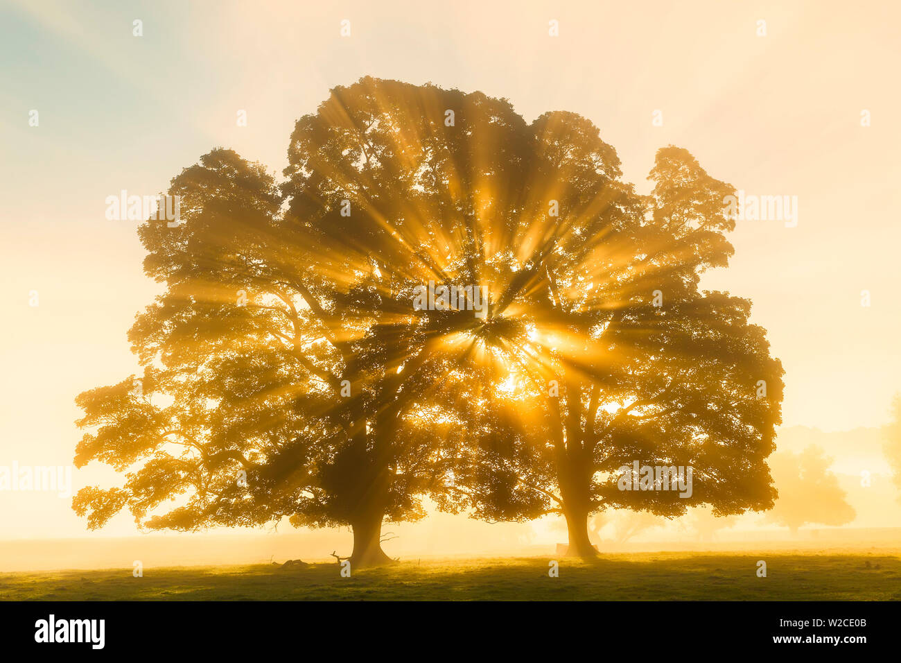 Sunrise, Usk Valley, South Wales, UK Stock Photo