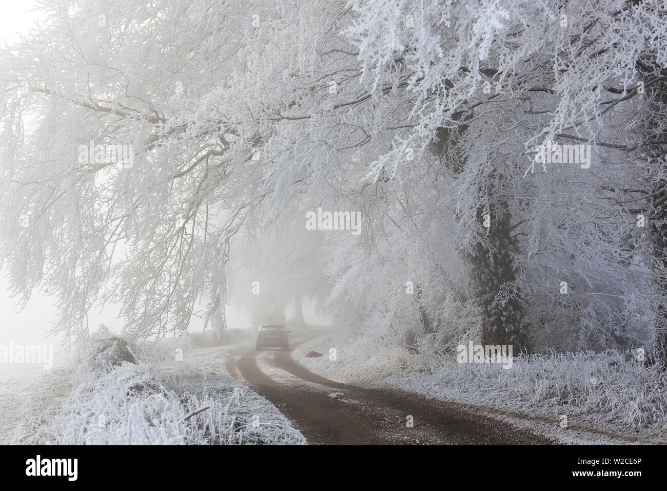 Car in country lane with frost covered trees, nr Wotton, Gloucestershire, UK Stock Photo