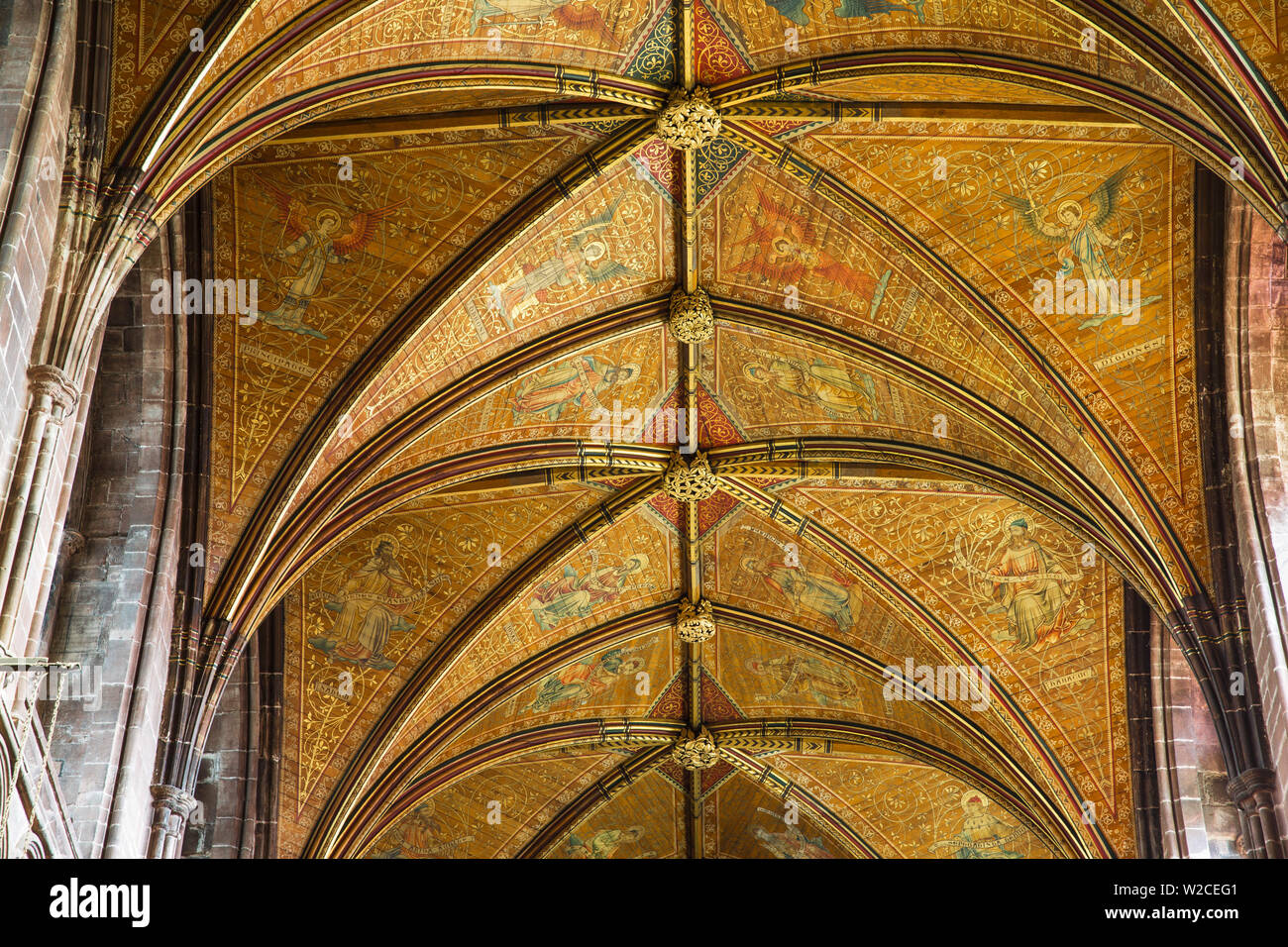United Kingdom, England, Cheshire, Chester, Chester Cathedral ceiling Stock Photo