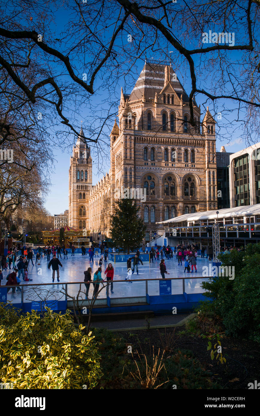 England, London, South Kensington, The Natural History Museum and skating rink Stock Photo