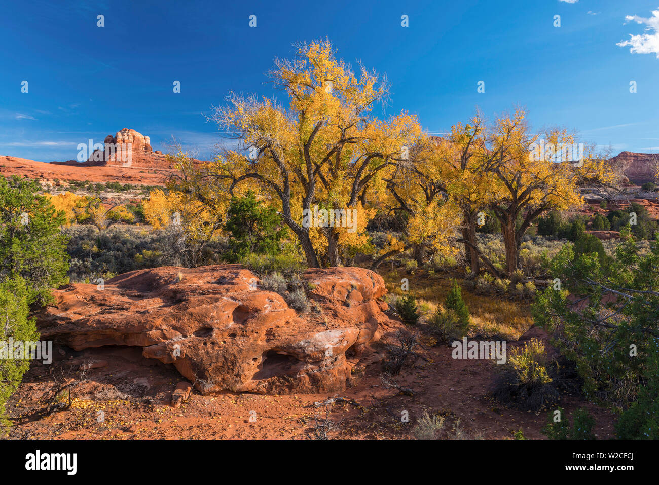 USA, Utah, Canyonlands National Park, The Needles District Stock Photo