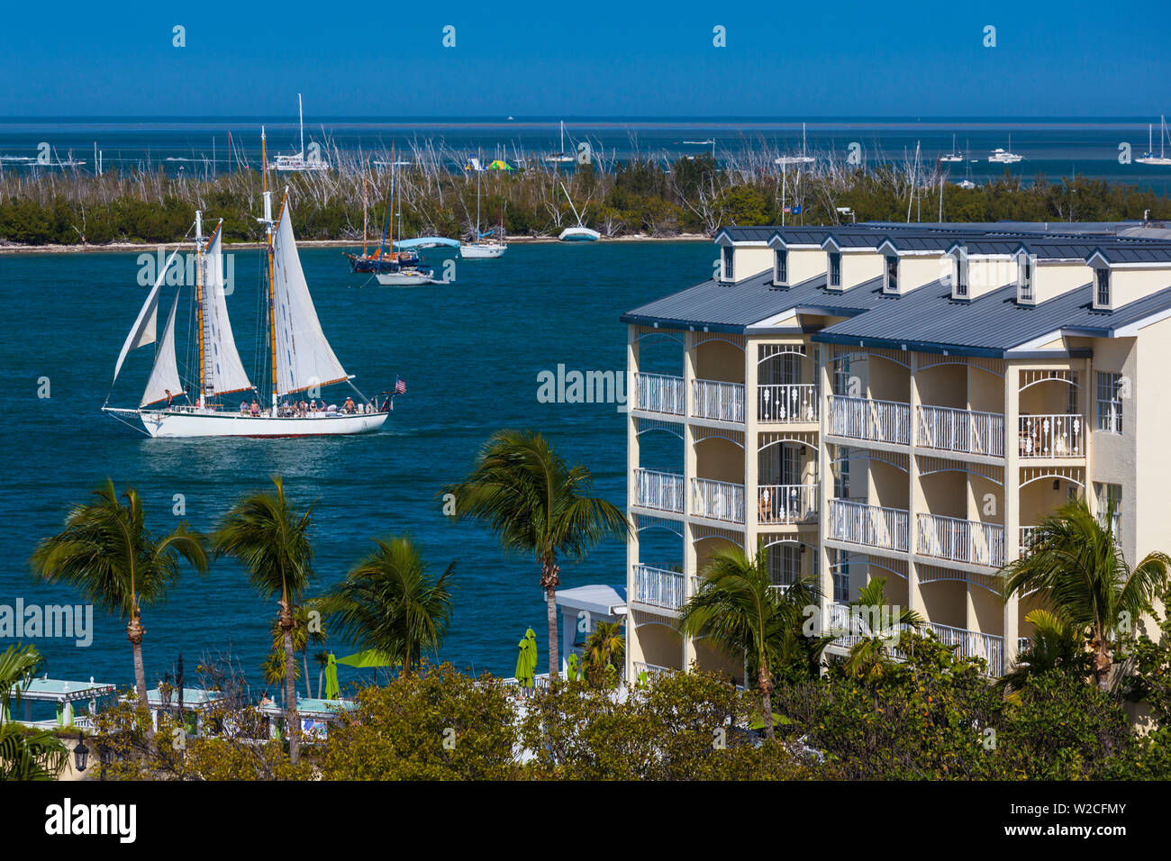 USA, Florida, Florida Keys, Key West, elevated view of sailing ships