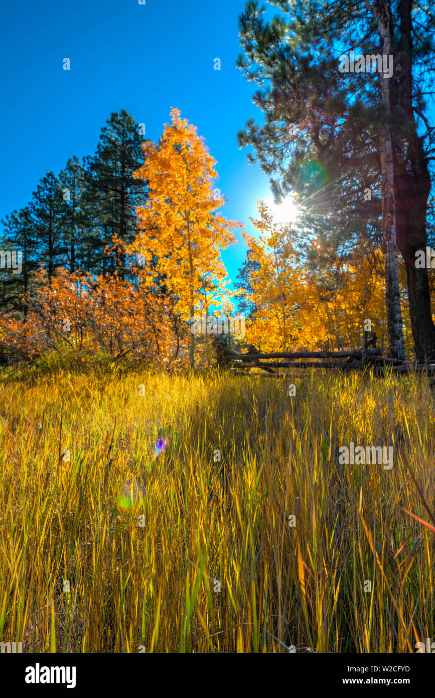 USA, Colorado, Animas River Valley north of Durango near Haviland Lake
