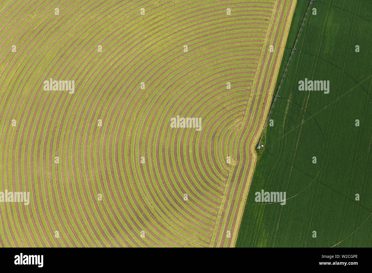 Circular pattern of crops from the air, Montana, USA Stock Photo