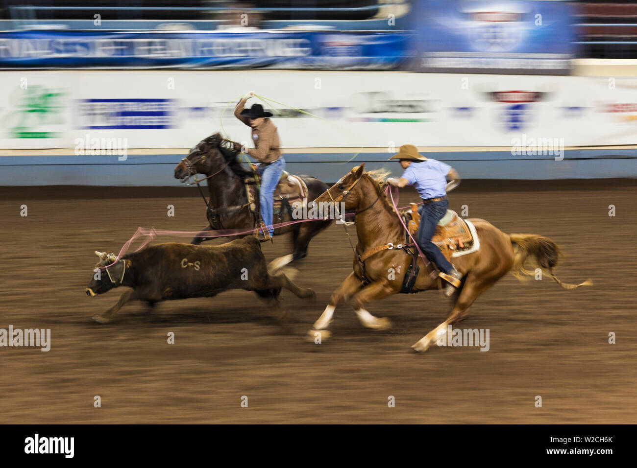 USA, Oklahoma, Oklahoma City, Oklahoma State Fair Park, Cowboy Rodeo