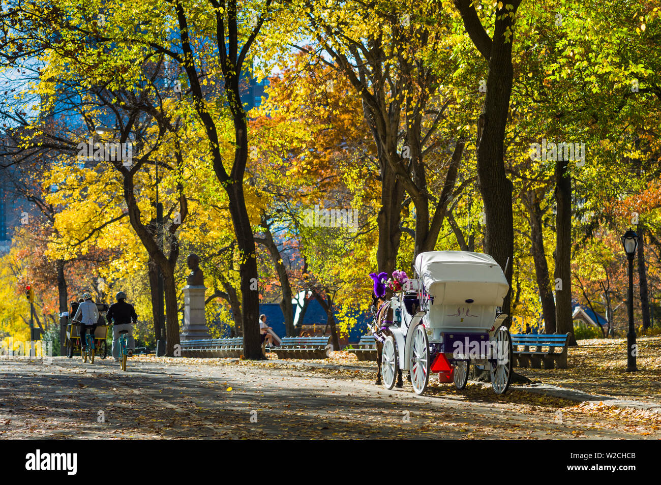 USA, New York, New York City, Central Park, horse-drawn carriage, autumn Stock Photo