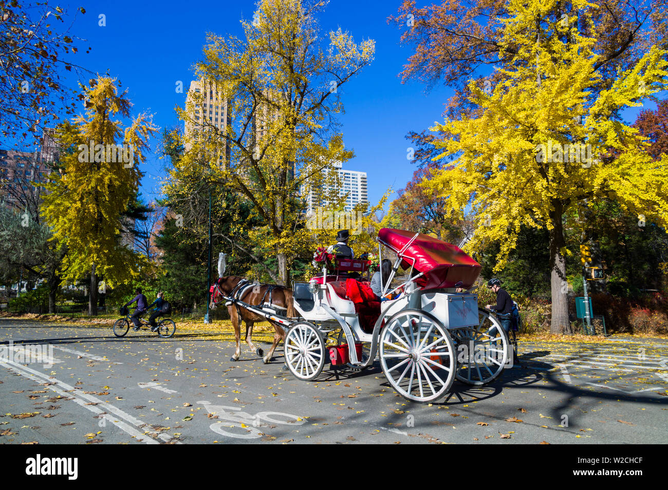New york city central park carriage hi-res stock photography and images ...