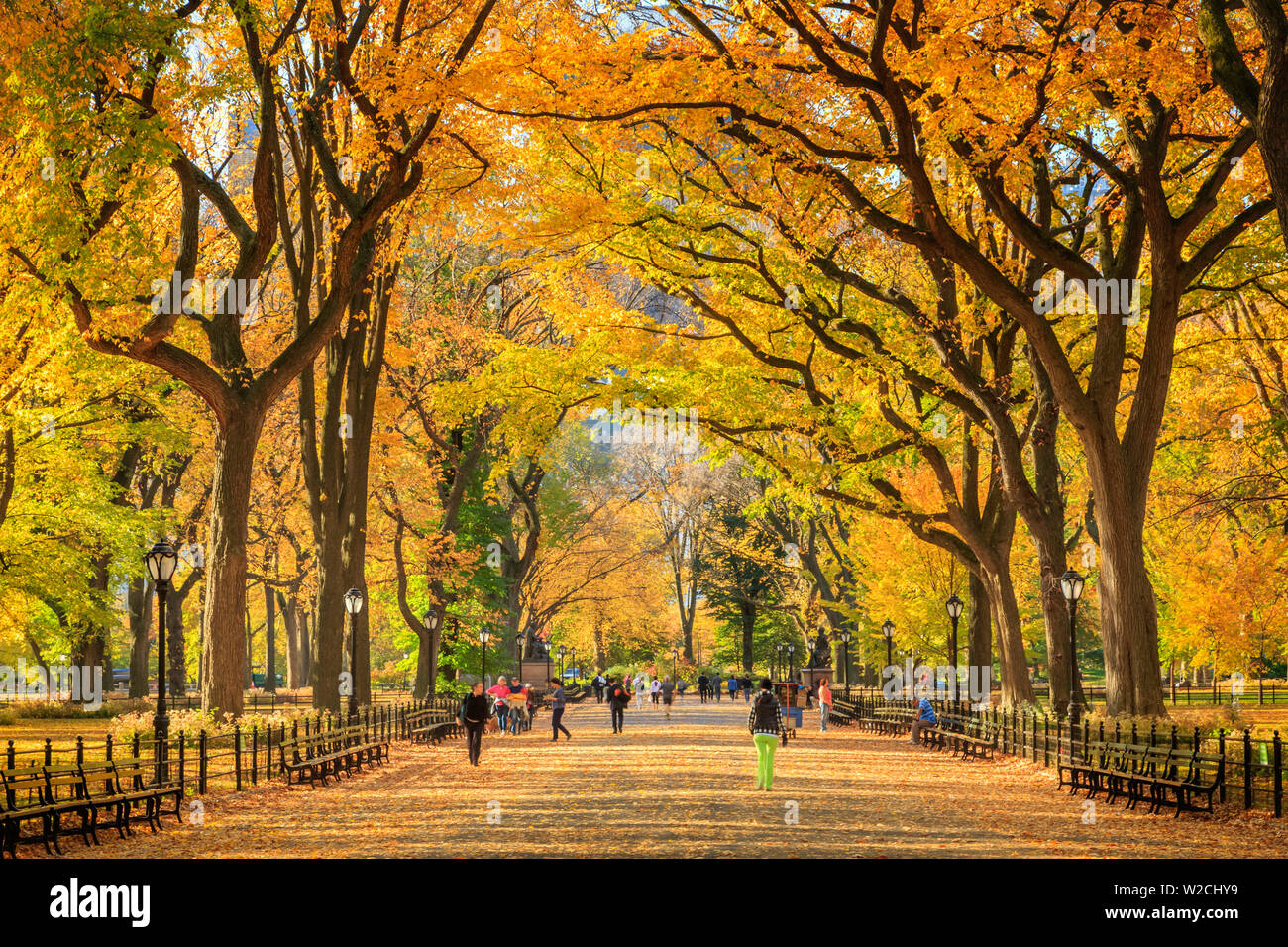 USA, New York City, Manhattan, Central Park, The Mall Stock Photo