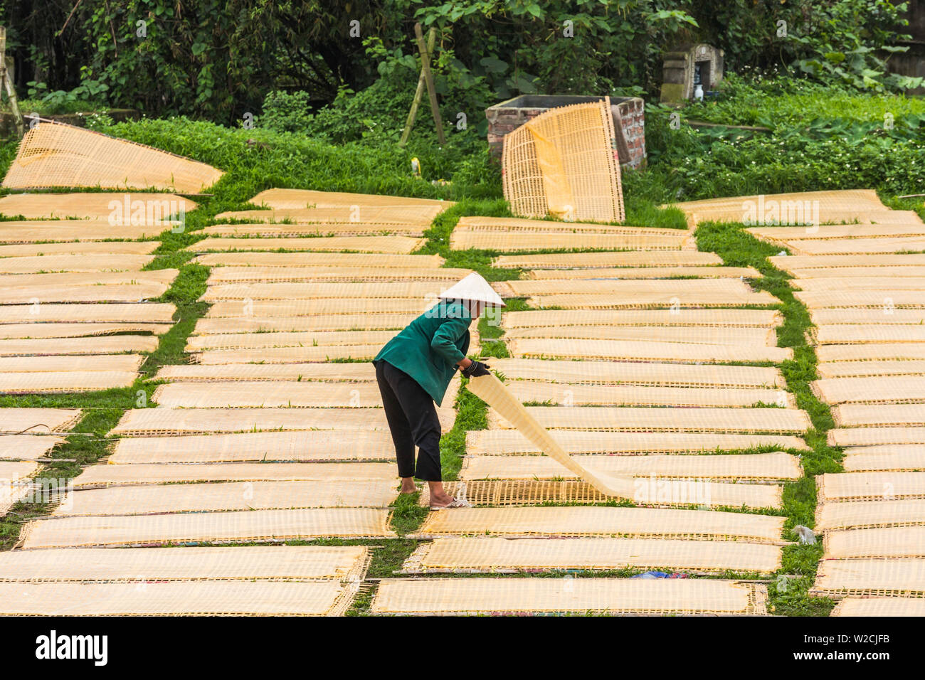 Sheets of drying mien noodle, nr Hanoi, Vietnam Stock Photo