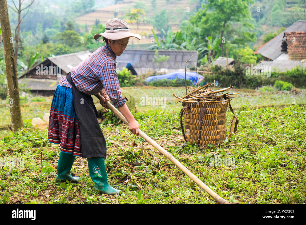 Woman farming, in countryside nr Bac Ha, nr Sapa, N. Vietnam Stock Photo