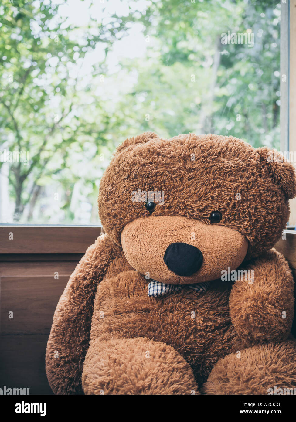 Big Cute Teddy Bear With Blue Plaid Bow Tie Sitting Near The Wooden Window Glass Vertical Style Stock Photo Alamy