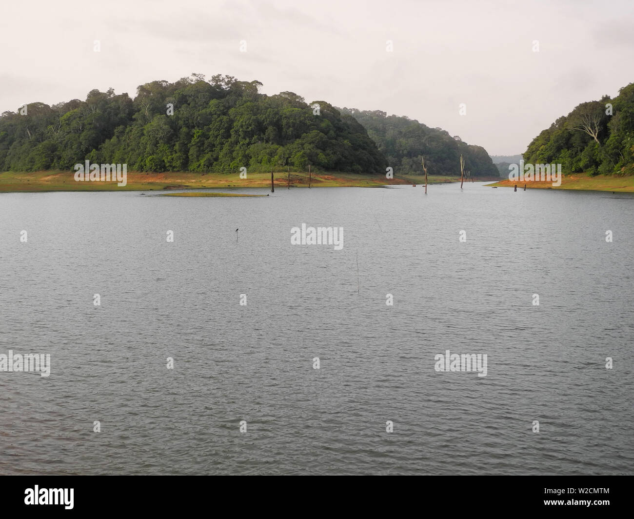 Periyar reserve in Kerala India, Kochi region Stock Photo Alamy