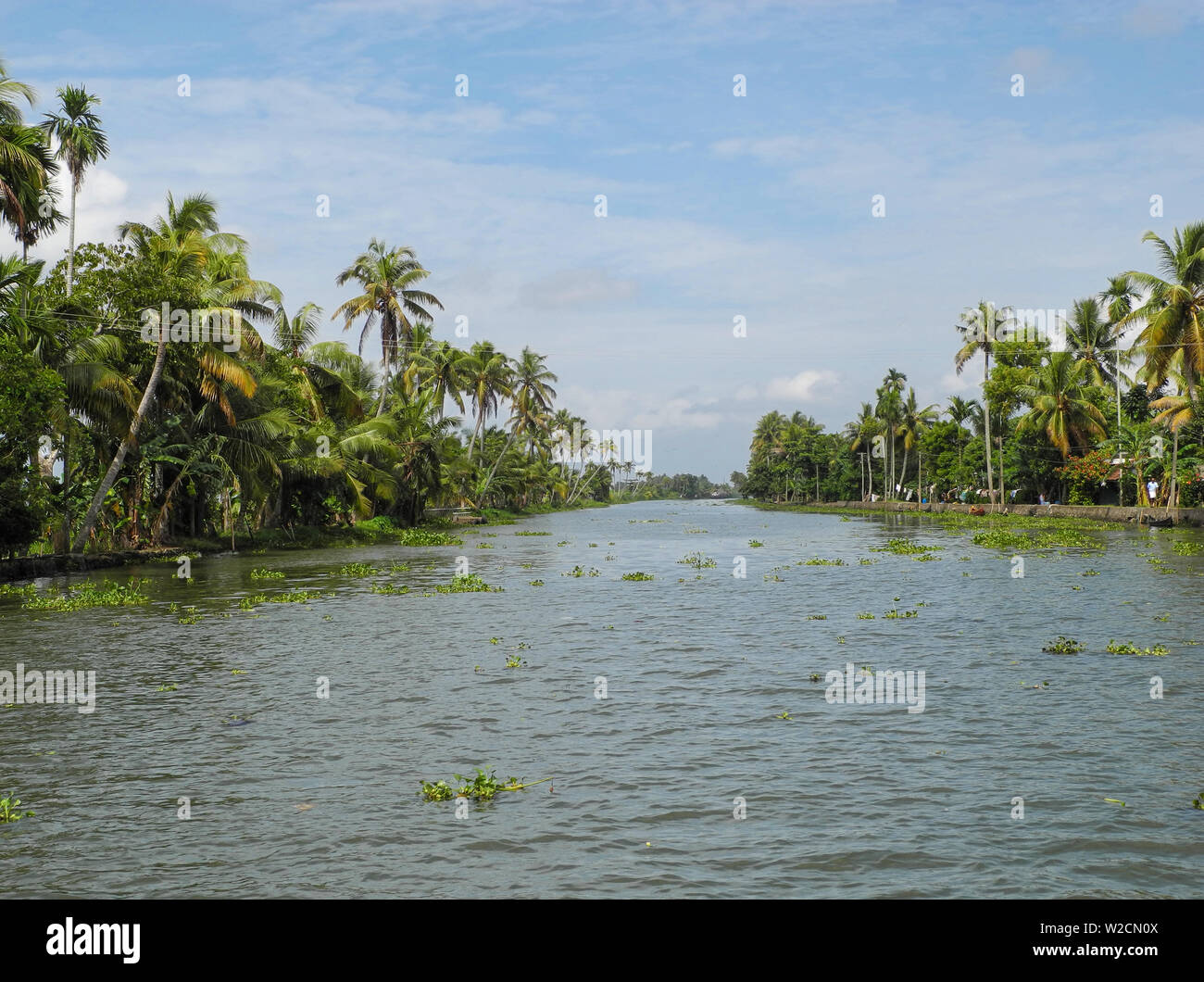 Backwater channels in Kerala in Kochi Stock Photo