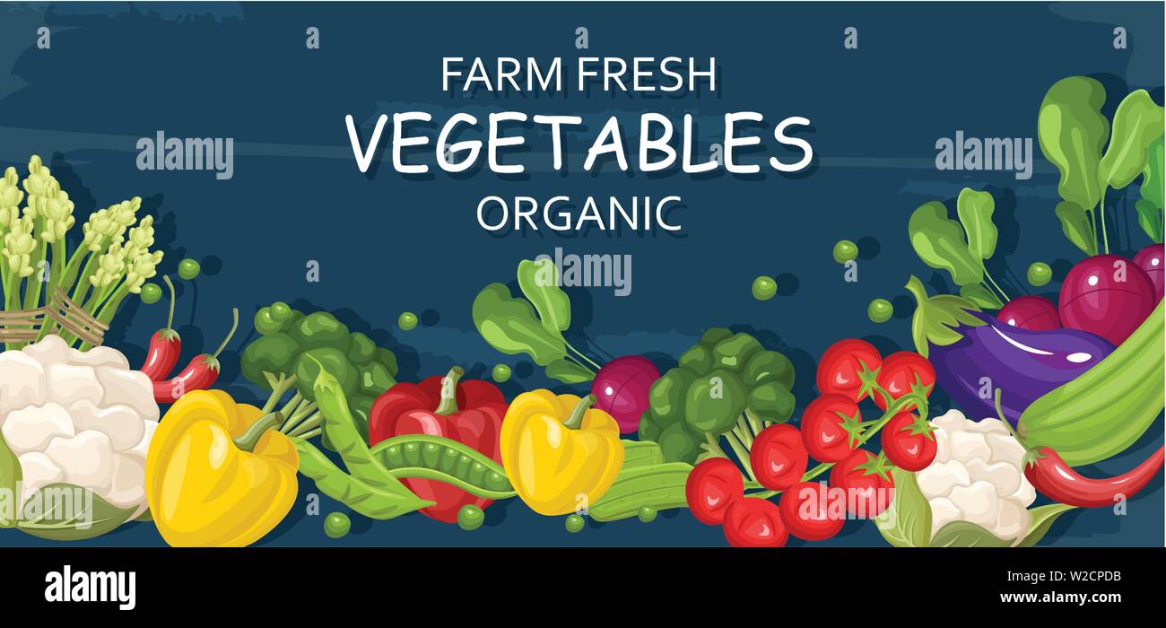 Farm fresh vegetables Vector banner. Store shop grocery detailed illustrations poster Stock Vector