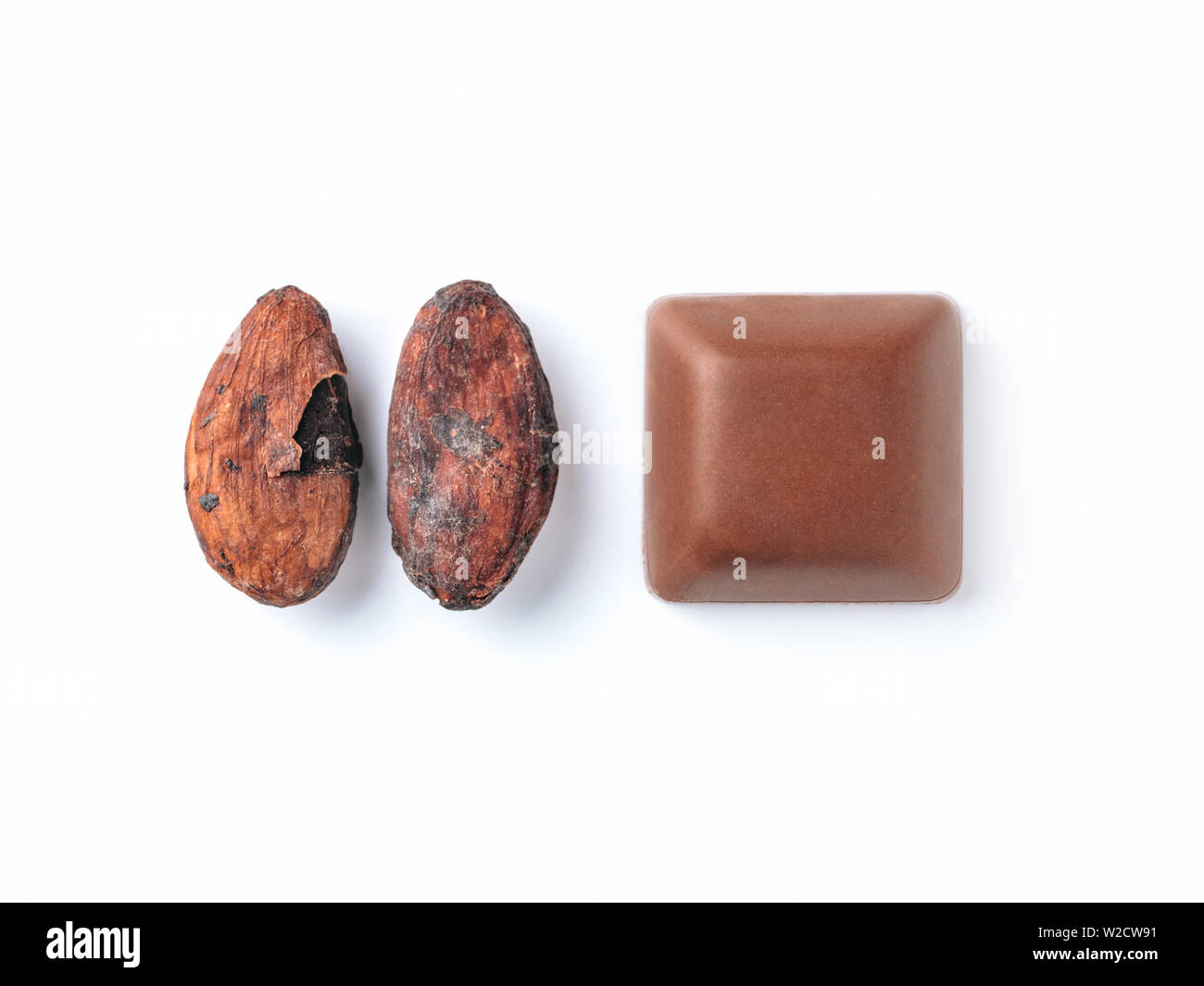 Raw cacao bean and chocolate piece on white background. Isolated on white with clipping path. Copy space for text. Stock Photo